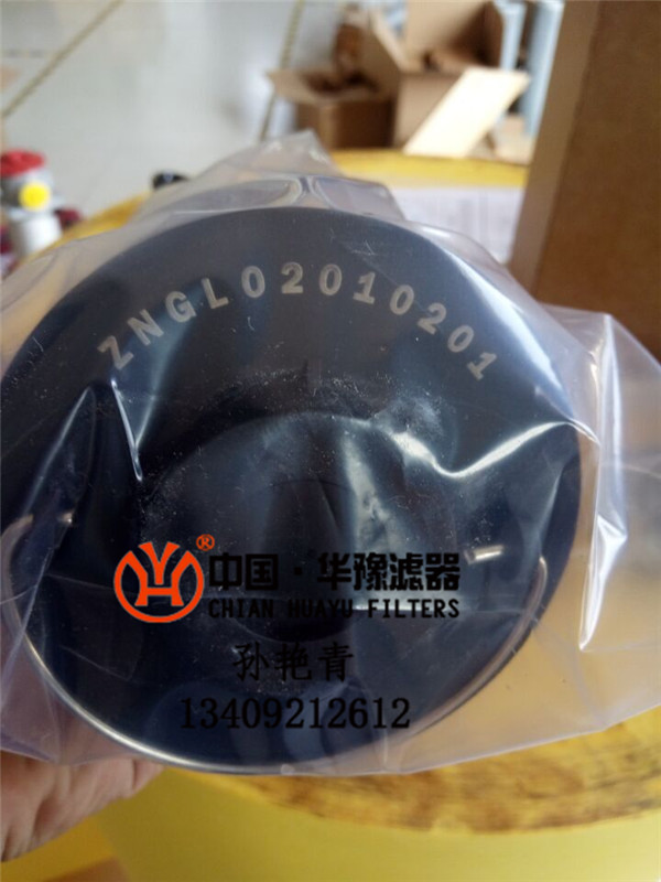 ZNGL02010201�����͞Vо