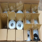 GYO16L010�Aԥ�y�L�^�V���Vо